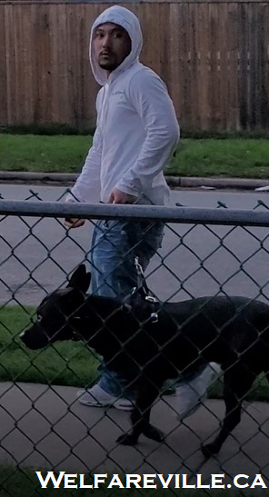 Dog walking a nut
